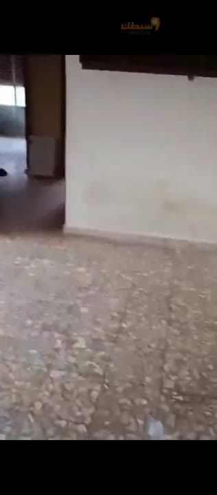 عقار - 5