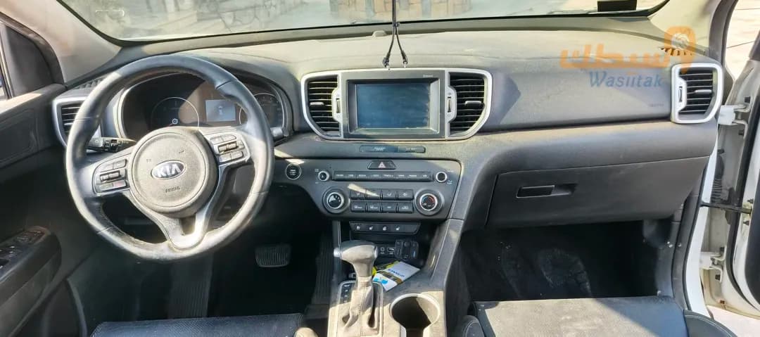 سبورتاج ضفدع - 1