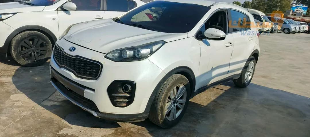 سبورتاج ضفدع - 3